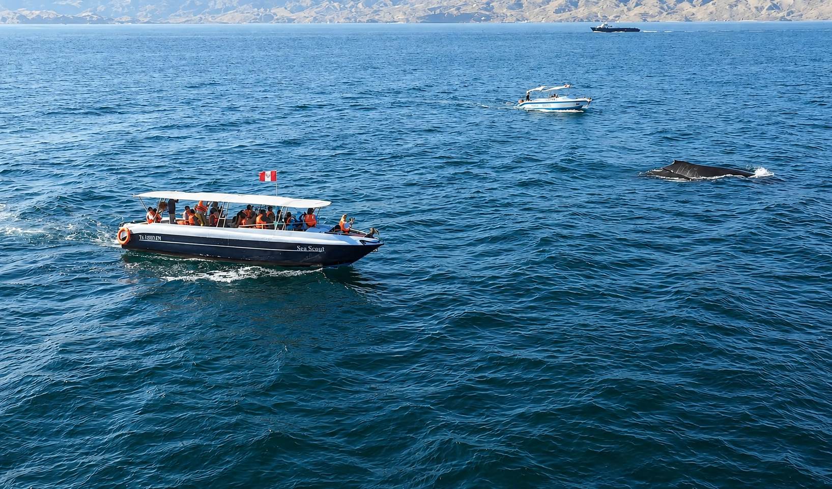 Ballena jorobada en el océano Pacífico